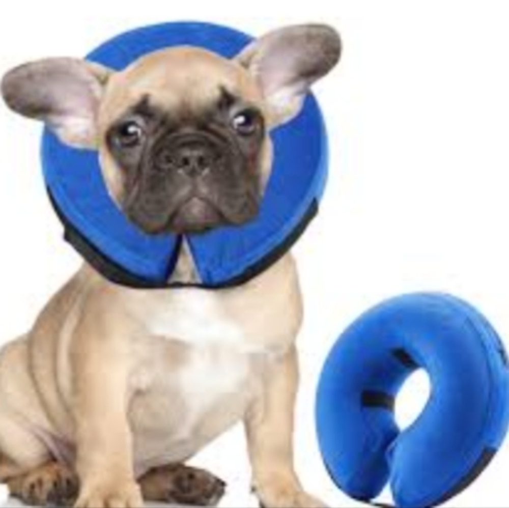 NEW Small inflatable blue dog‎ cone collar fits neck 6-9"